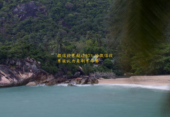 微信投票超过30％的微信投票被认为是刷票作弊