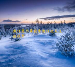 微信显示屏投票微信拉关注拉投票 