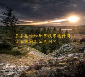 东东插件和刷票投票插件有什么区别怎么找到它