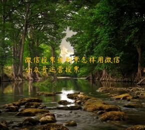 微信投票被刷票怎样用微信公众号运营投票 
