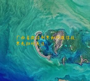 广西省微信刷票如何微信投票先扫码关注 