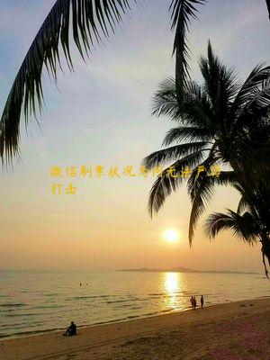 微信刷票状况为何无法严厉打击