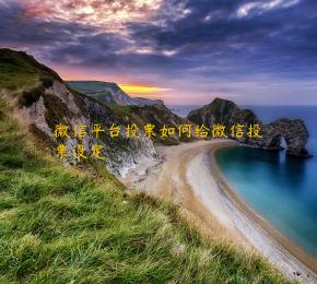微信平台投票如何给微信投票设定 