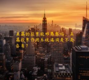 美篇的投票能够舞弊吗，美篇投票作用系统漏洞是不是存有？