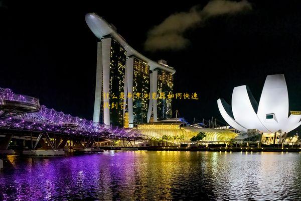 什么是刷票浏览器如何快速找到它