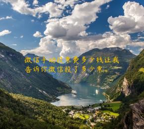 微信手动投票费多少钱让我告诉你微信投了多少票。
