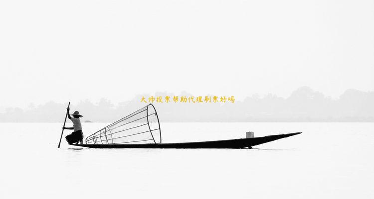 大师投票帮助代理刷票好吗