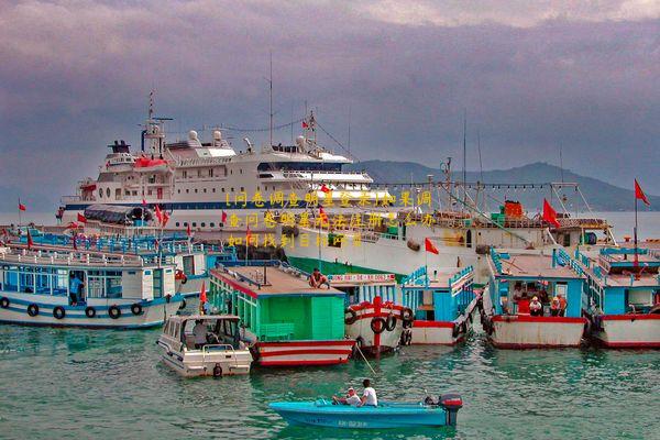 [问卷调查明星登录]如果调查问卷明星无法注册怎么办如何找到目标网页