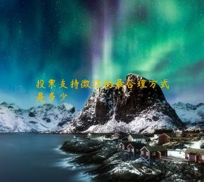 投票支持微信的最合理方式是多少