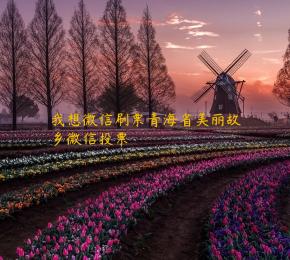 我想微信刷票青海省美丽故乡微信投票