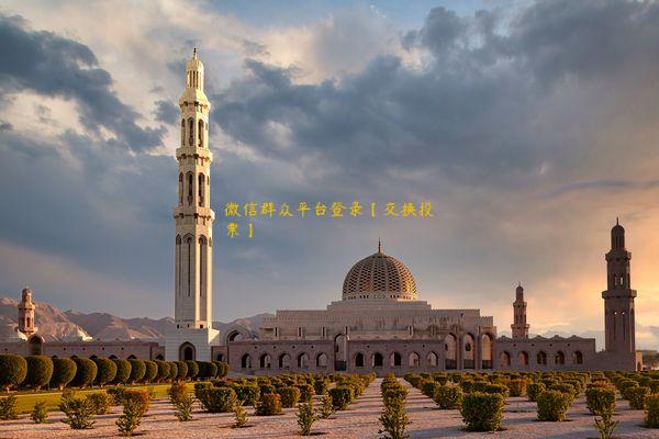 微信群众平台登录【交换投票】