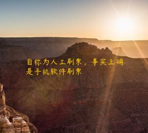 自称为人工刷票，事实上确是手机软件刷票