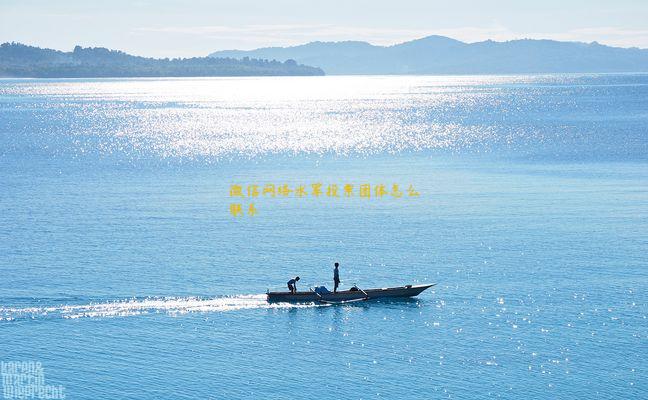 微信网络水军投票团体怎么联系