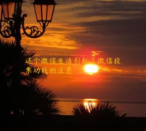 这个微信生活引起了微信投票功能的注意