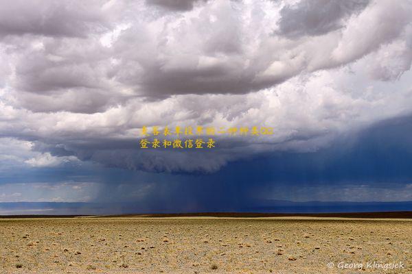 麦客表单投票的二种种类QQ登录和微信登录