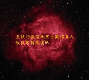 互联网微信刷票手微信真人版投票精英团队 