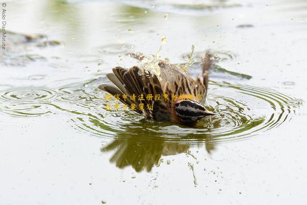 微信申请注册投票当场微信投票方案策划 