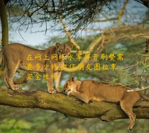 在网上网络水军抖音刷赞需要多少钱,微信朋友圈拉票安全性吗
