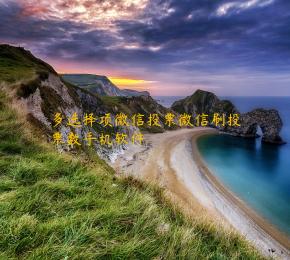 多选择项微信投票微信刷投票数手机软件