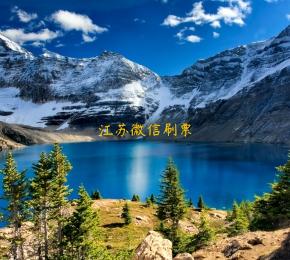 江苏微信刷票