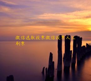 微信选取投票微信投票人工刷票