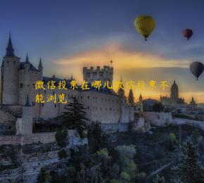 微信投票在哪儿微信投票不能浏览