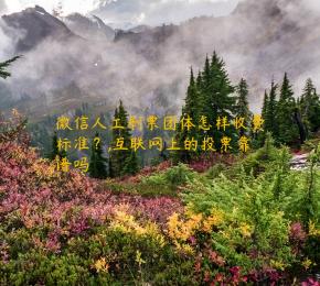 微信人工刷票团体怎样收费标准？,互联网上的投票靠谱吗