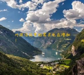 对微信投票的需求也在增加！