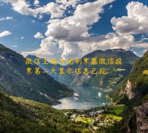微信主题活动刷票器微信投票第二天显示信息已投 