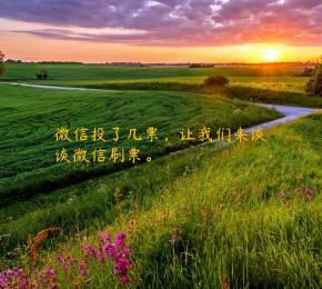 微信投了几票，让我们来谈谈微信刷票。