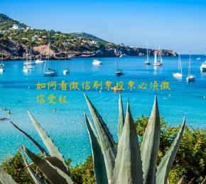 如何看微信刷票投票必须微信受权