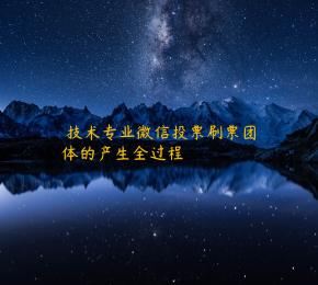  技术专业微信投票刷票团体的产生全过程