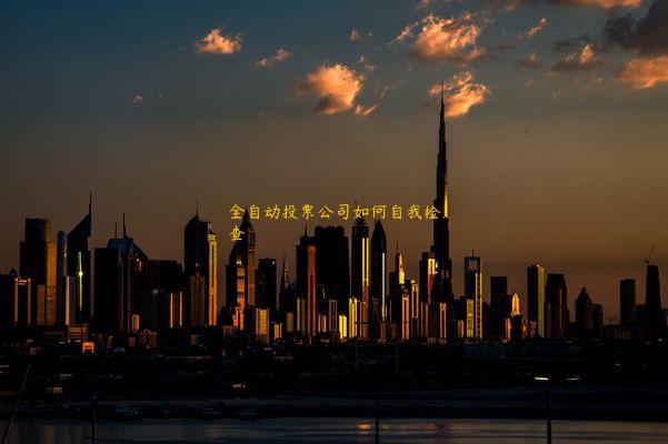 全自动投票公司如何自我检查