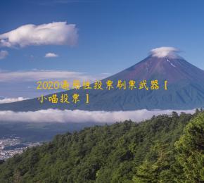 2020通用性投票刷票武器【小喵投票】