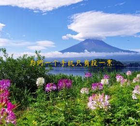 为何一个手机只有投一票