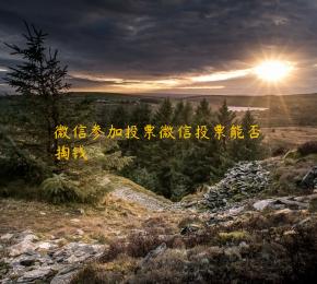 微信参加投票微信投票能否掏钱 