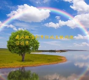 鼎诚微信刷票狂战互联网微信投票