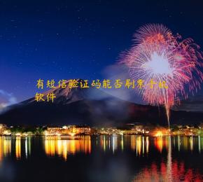 有短信验证码能否刷票手机软件