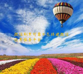 微信刷票可靠不怎样建微信投票服务平台