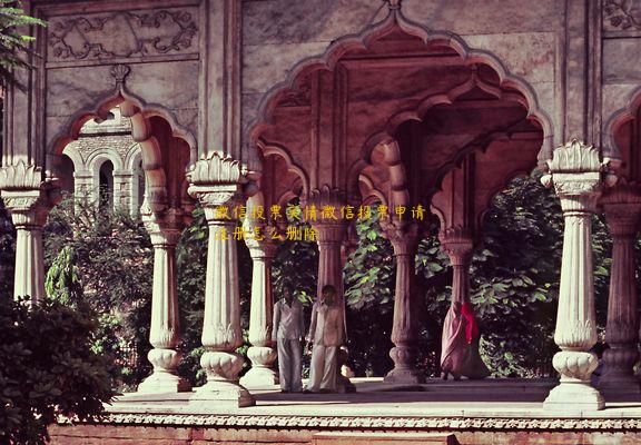 微信投票实情微信投票申请注册怎么删除