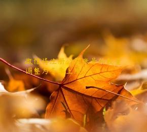 微信将注册公共账号的数量调整为冬季上限