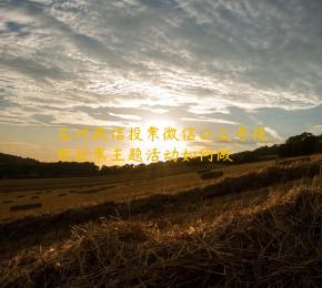 应对微信投票微信公众号视频投票主题活动如何做