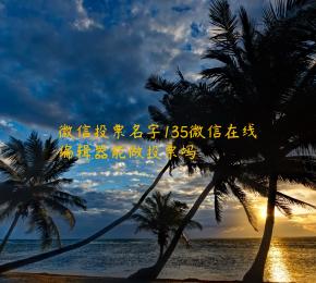 微信投票名字135微信在线编辑器能做投票吗