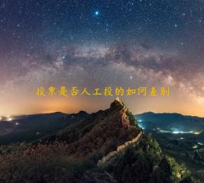 投票是否人工投的如何差别