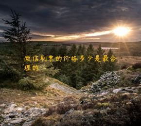 微信刷票的价格多少是最合理的