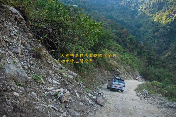 大牌明星投票微信微信全自动申请注册投票