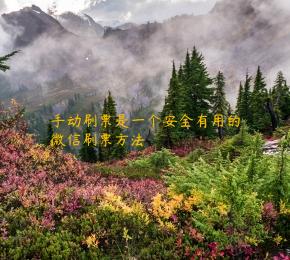 手动刷票是一个安全有用的微信刷票方法